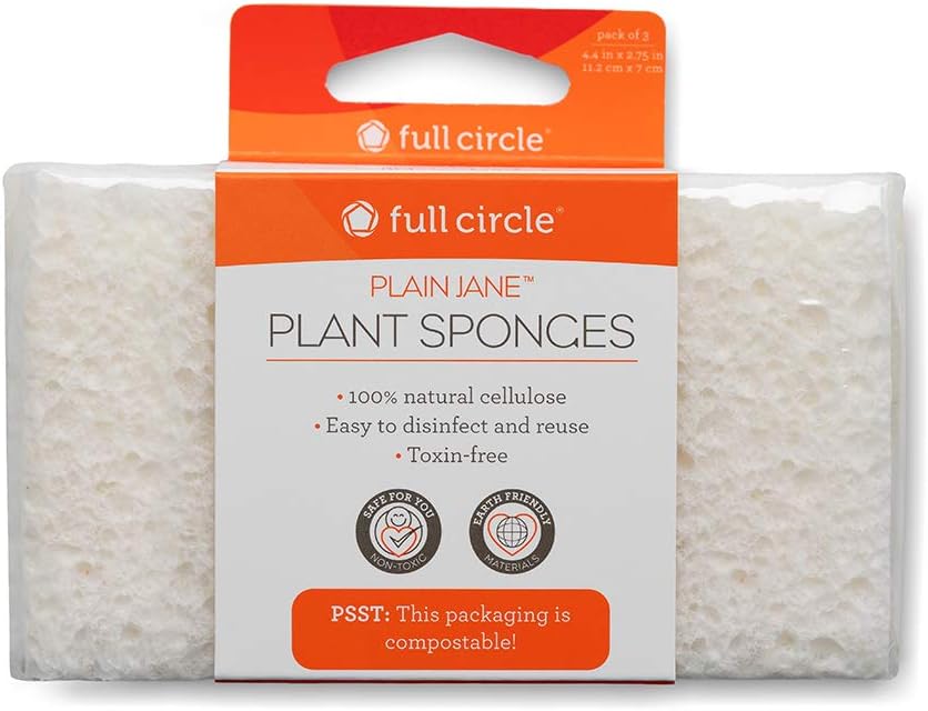 Full Circle Plain Jane Plant Sponge