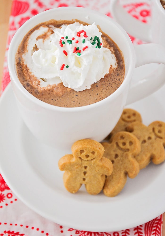 Gingerbread Hot Cocoa