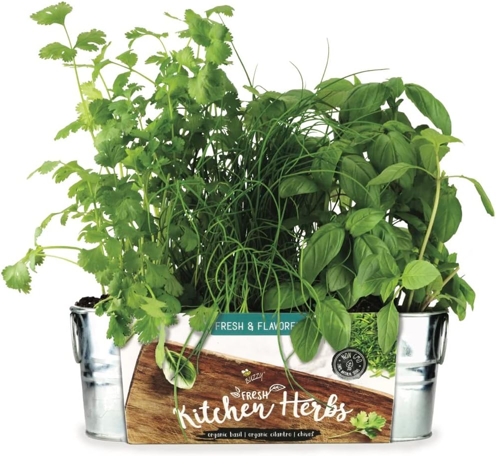Buzzy Kitchen Herb Kits