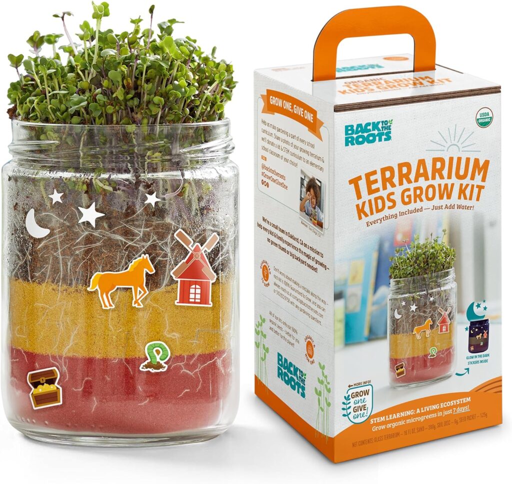 Terrarium Kids Grow Kit