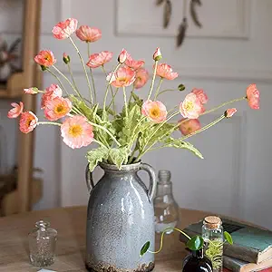 Poppies in a vase