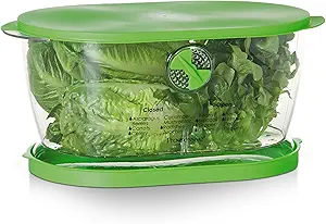 Salad and Lettuce Storage Container